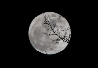 Космонавт запечатлел «расплющенную» Луну
