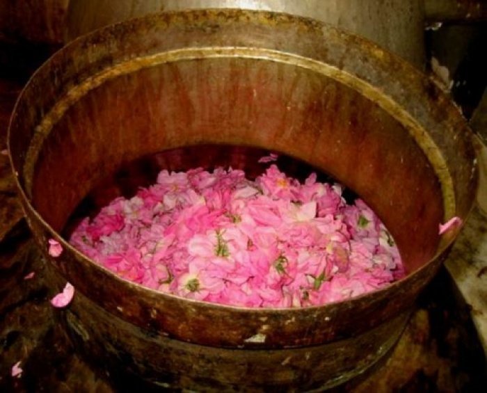 Приготовление розовой воды