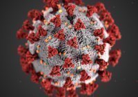 В Индии выявлен новый штамм коронавируса с двойной мутацией