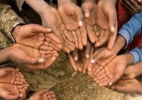 ООН: 20 странам мира грозит острый голод