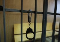 Житель Новосибирска получил 8,5 года тюрьмы за финансирование терроризма