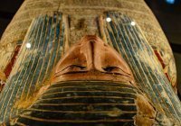 Впервые найдена древнеегипетская мумия беременной женщины