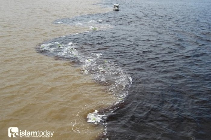  Эти два моря имеют различную структуру даже в тех местах, где они тесно соприкасаются (Фото: izbrannoe.com)