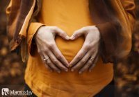 Душа плода: что говорит ислам о прерывании беременности?