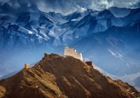 В Тибете нашли следы десятков неизвестных науке вирусов