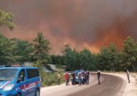 В Турции сообщили о первых жертвах лесных пожаров