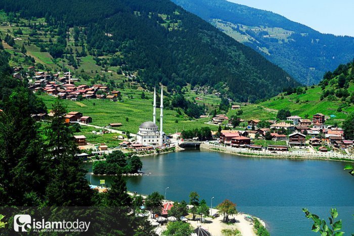 Провинция Трабзон имеет большое количество лесов и считается одним из самых зеленых регионов Турции (Фото: touristjourney.com).