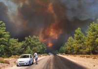 Четыре человека погибли из-за пожаров в Турции