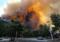 В Турции назвали ответственных за поджоги лесов