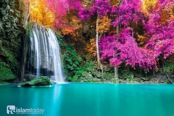 Цвет райской земли – это шафран, а ее аромат – это мускус (Фото: shutterstock.com). 