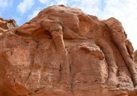 Стал известен возраст гигантских статуй верблюдов на Аравийском полуострове