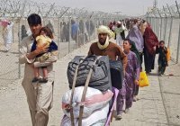 5 млн афганцев стали внутренними беженцами в последние недели