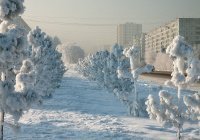 Россию ждет аномально снежная зима