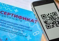 В России создали устройство, проверяющее QR-коды о вакцинации