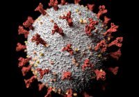 В Норвегии выявили новый вариант дельта-штамма коронавируса