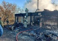 Мать и четверо детей погибли при пожаре в Воронежской области