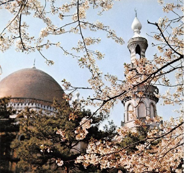 Токийская мечеть, построенная татарами. Фото во время цветения сакуры. Мечеть утрачена. Из личного архива