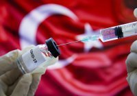 Россияне смогут привиться зарубежными вакцинами в Турции