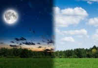 День и ночь в Раю: чем они отличаются от земных? 