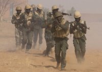 Террористы убили 27 военных в Мали