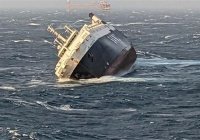 Иранские спецслужбы спасли 29 пассажиров с затонувшего судна ОАЭ