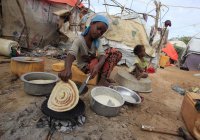 Африке предрекли продовольственный кризис из-за Украины