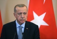 Эрдоган заявил, что поддерживает контакты с Путиным и Зеленским