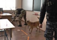 В Крыму школы эвакуировали из-за сообщений о «минировании»