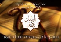 Красивое чтение Корана: сура «Аль-Бакара» (видео)