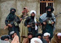 СМИ: талибы превратили 15 школ в военные базы