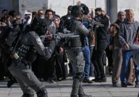 Алжир призвал мир отреагировать на репрессии в отношении палестинцев