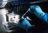 В 12 странах Европы обнаружили гепатит неизвестного происхождения