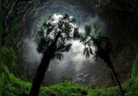В Китае нашли гигантскую дыру с лесом на дне (Фото)