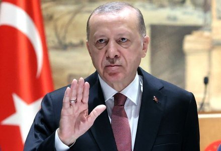 Эрдоган ждет от НАТО конкретных действий по Швеции и Финляндии