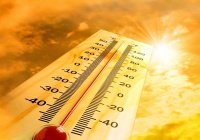 В Иране более 50 человек госпитализированы из-за жары