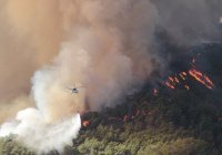 Власти Турции называют поджог вероятной причиной лесных пожаров в Мармарисе