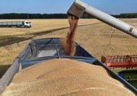 Россия заявила о готовности помочь Афганистану зерном