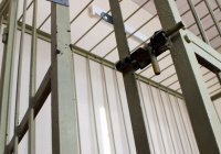 Жителю ХМАО грозит тюрьма за оправдание терроризма