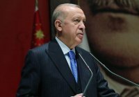 Эрдоган: тегеранский саммит может помочь переоценке процесса урегулирования в Сирии