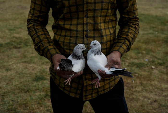 Продавец демонстрирует своих птиц покупателям (Фото: Mukhtar Khan/AP Photo).