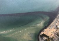 В Иране десятки километров побережья оказались загрязнены нефтепродуктами