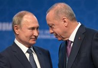 Путин и Эрдоган могут обсудить продуктовую сделку на полях ШОС