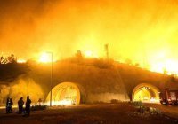В Турции более тысячи человек эвакуировали из-за пожара