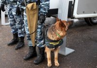 В Курской области продлили высокий уровень террористической опасности
