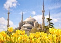 Прекрасное качество мусульман: 10 аятов о богобоязненности верующих