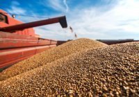 Пакистан купит у России 300 тыс. тонн пшеницы