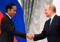 Путин и Видодо обсудили саммит G20 на Бали