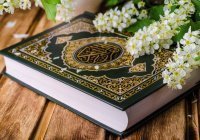 Госдума вывела Коран из-под возрастной маркировки
