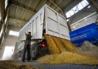 Россия намерена расширить поставки зерна Африке 