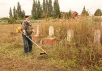 Скошенная трава из кладбища: можно ли ее использовать и как?